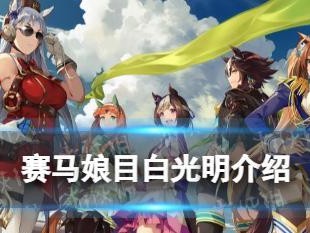 《以赛马娘目白赖恩A级养成攻略一览》（教你如何快速提升目白赖恩的能力，成为最强赛马娘！）