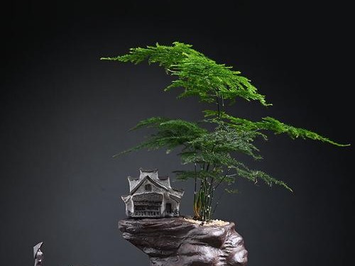 江南百景图瓷碗花瓶获取指南（探秘江南百景图瓷碗花瓶的乐趣与渠道）
