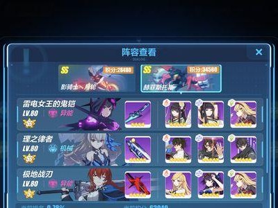 《誓约骑士技能搭配攻略》（提高战斗效率，畅享游戏乐趣的必备指南）
