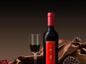 《以食之契约红酒》的神秘技能属性详解（探索游戏中红酒技能的奥秘）