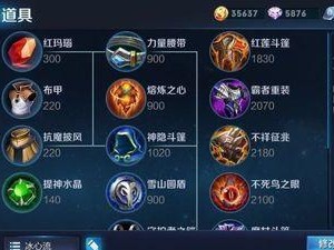 《玄武冰心版本出装攻略》（探索最新版本的玄武冰心出装策略，让你在战场上无往不利）