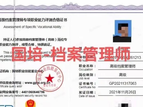 《伊洛纳召唤师》新职业技能测评及玩法介绍（探索召唤师世界，释放强大力量的新职业）