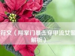 掌门布兰德出装符文攻略——带你成为火焰之主（布兰德出装符文选择，让你的火焰无往不胜）