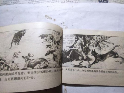 魔兽世界战缚军犬咬痕缰绳获取攻略（寻找稀有宠物，一步一步获取缰绳）