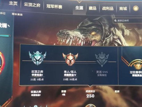 《云顶之弈双人模式段位等级一览》（双人匹配，提升段位，和小伙伴一起玩！）