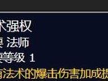 魔兽世界大号法师攻略技能详解（掌握法师技能，成就无敌法力之王）