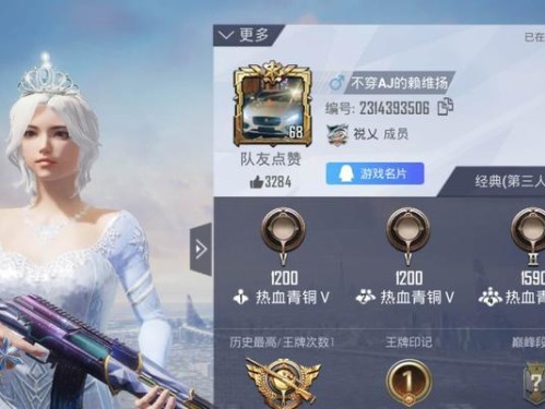 以誓约骑士技能搭配攻略大全（解析誓约骑士技能的最佳组合方式，让你成为无敌的骑士！）