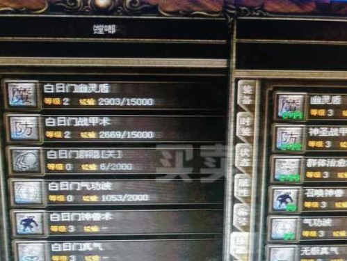 冰雪合击道士技能搭配攻略（冰雪合击道士技能搭配攻略及装备选择）