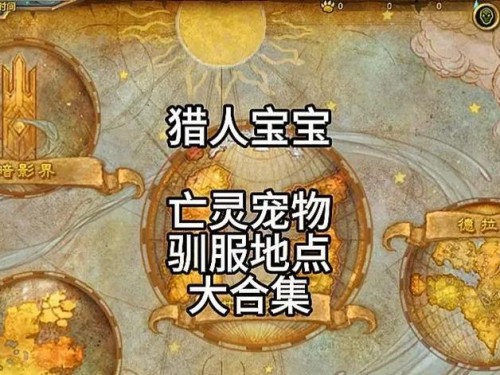 猎人宝宝出装攻略（一步步解析猎人宝宝的出装技巧，助你称霸游戏战场！）