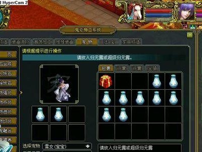 全面了解宠物后缀，打造强力宠物（全面了解宠物后缀，打造强力宠物）
