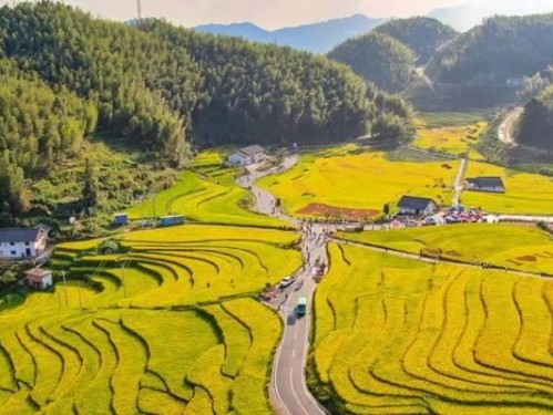 开心农场2攻略（农场游戏攻略，快乐种植与经营！）