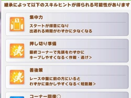 《以赛马娘技能位置图鉴攻略》（揭秘最强技能配置，助你驰骋赛场）