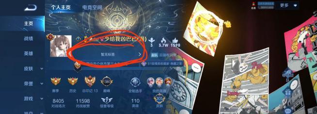如何设置王者荣耀赛年标签？攻略分享！（从游戏设置入手，轻松完成赛年标签设置！）
