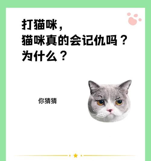 猛击猫猫（发掘新的战略与能力，成为猫猫技能升级的专家）